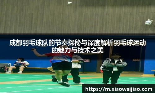 成都羽毛球队的节奏探秘与深度解析羽毛球运动的魅力与技术之美